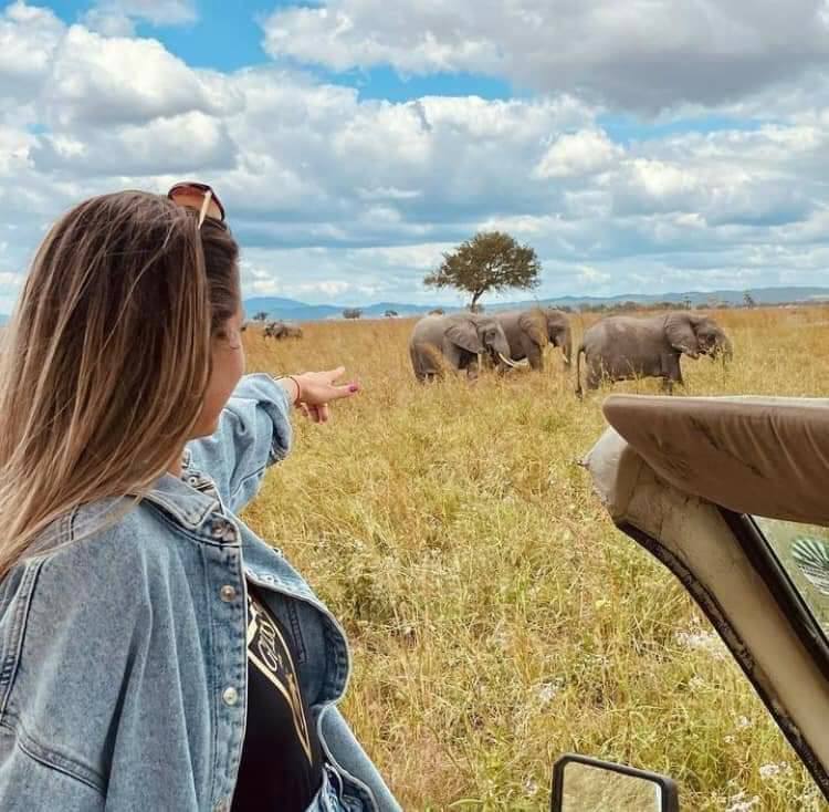 Safari vehicle in Serengeti at sunset